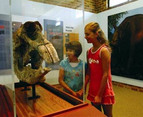 Australian Museum Diprotodon Exhibition - Port Augusta Accommodation 0
