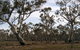 Murchison Rail Trail - thumb 1