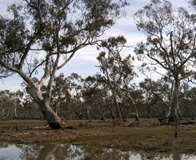 Murchison Rail Trail - Port Augusta Accommodation 1