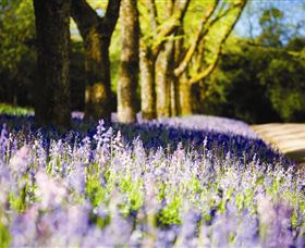 Duneira, Mt Macedon - Port Augusta Accommodation 4