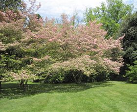 Duneira, Mt Macedon - Port Augusta Accommodation 7