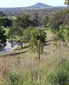Mt Piper Nature Conservation Reserve - Port Augusta Accommodation 1