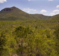 Kutini-Payamu Iron Range National Park CYPAL - Port Augusta Accommodation