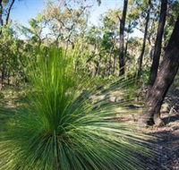 Brisbane Ranges National Park - Port Augusta Accommodation