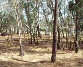 Chiltern-Mt Pilot National Park - Port Augusta Accommodation 0