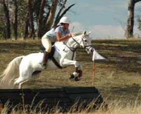 National Equestrian Centre - Kerrabee - Port Augusta Accommodation 0