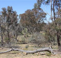 Remembrance Nature Park - Port Augusta Accommodation