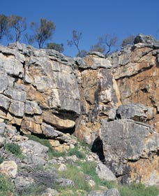 Watheroo National Park - Port Augusta Accommodation 0