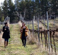 Mount Majura Vineyard - Port Augusta Accommodation