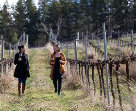Mount Majura Vineyard - Port Augusta Accommodation 0