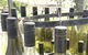 Mount Majura Vineyard - thumb 2