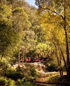Walhalla Goldfields Railway - Port Augusta Accommodation 3