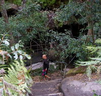 Leura Cascades Fern Bower - Port Augusta Accommodation