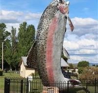 Big Trout