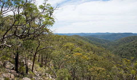 Howes Trail - Port Augusta Accommodation 2