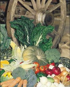 Mulgowie Real Farmers Markets - Port Augusta Accommodation 0