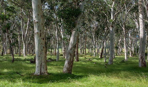Coast To The Highlands Scenic Drive â€“ Kangaroo Valley - Port Augusta Accommodation 1