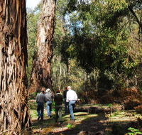 Tallaganda National Park - Port Augusta Accommodation