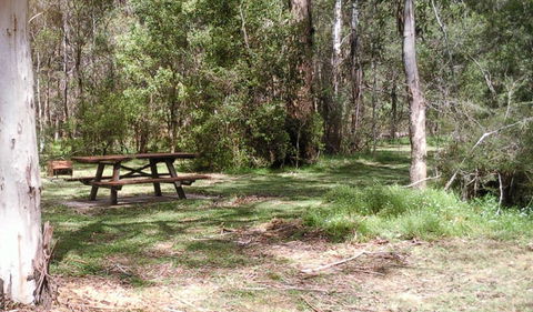 Tallaganda National Park - Port Augusta Accommodation 1