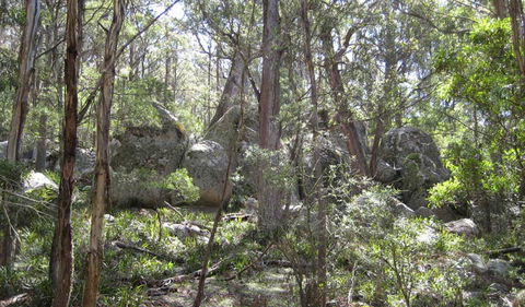 Tallaganda National Park - Port Augusta Accommodation 2