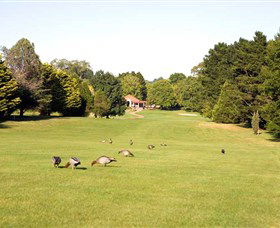 Moss Vale Golf Club - Port Augusta Accommodation 2