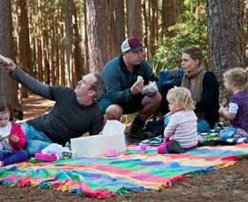 State Forests Of The Watagan Mountains - Port Augusta Accommodation 0