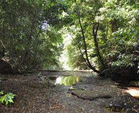 State Forests Of The Watagan Mountains - Port Augusta Accommodation 1