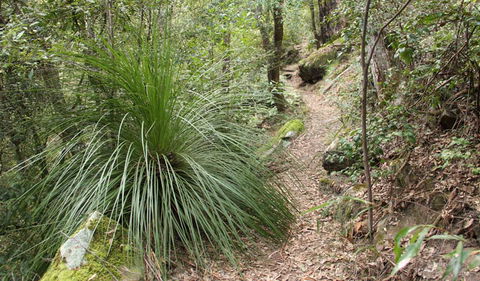 Dharug National Park - Port Augusta Accommodation 2