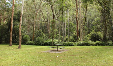Dharug National Park - Port Augusta Accommodation 3