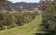 Bunna Bunoo Olive Grove - thumb 1