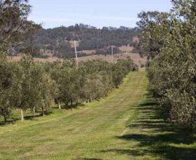 Bunna Bunoo Olive Grove - Port Augusta Accommodation 1