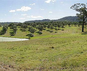 Bunna Bunoo Olive Grove - Port Augusta Accommodation 5