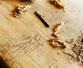 Sally Beresford Antiques/French Farmhouse Tables - Port Augusta Accommodation 2