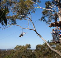 TreeTop Safari - Port Augusta Accommodation