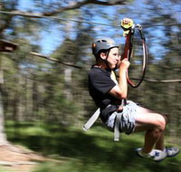 TreeTop Adventure Park Sydney - Port Augusta Accommodation