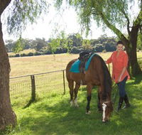 Sugarloaf Horse Centre - Port Augusta Accommodation
