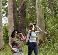 Chichester State Forest