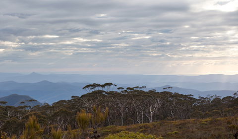 Mount Budawang Trail - Port Augusta Accommodation 0