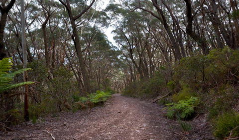 Mount Budawang Trail - Port Augusta Accommodation 1