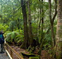 Monga National Park - Port Augusta Accommodation