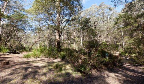 Monga National Park - Port Augusta Accommodation 1