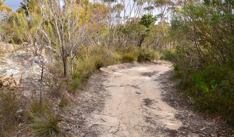 Cambewarra Range Nature Reserve - Port Augusta Accommodation 1