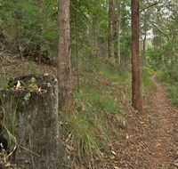 Border loop walk