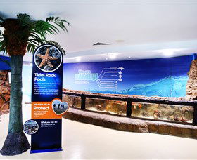 Sea Life Sunshine Coast - Port Augusta Accommodation 2