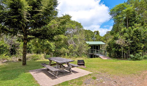 Antarctic Beech Picnic Area - Port Augusta Accommodation 1