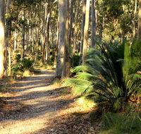 Square Head track 2 - Port Augusta Accommodation