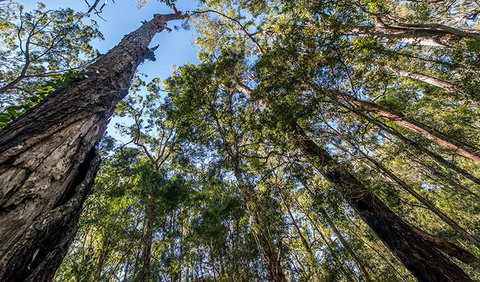 Brimbin Nature Reserve - Port Augusta Accommodation 3