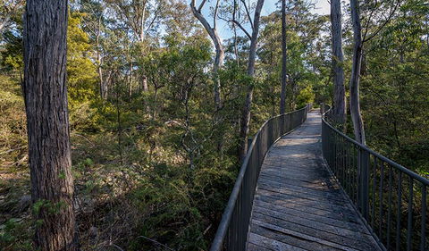 Myanba Gorge Walking Track - Port Augusta Accommodation 1