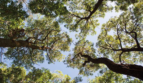 Coffs Coast Regional Park - Port Augusta Accommodation 2