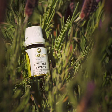 Jasmin Organics Skincare Farm And Factory - Port Augusta Accommodation 7
